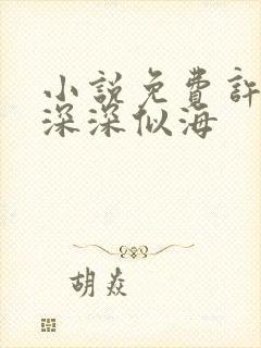 小说免费许你情深深似海