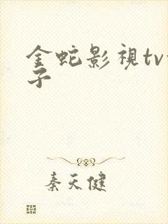 金蛇影视tv盒子