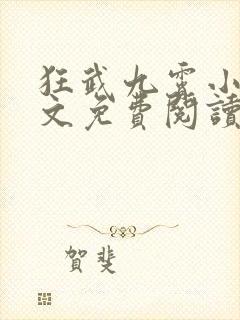 狂武九霄小说全文免费阅读