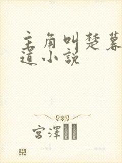主角叫楚暮的剑道小说