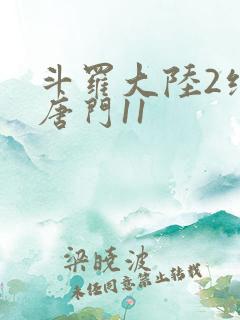 斗罗大陆2绝世唐门11