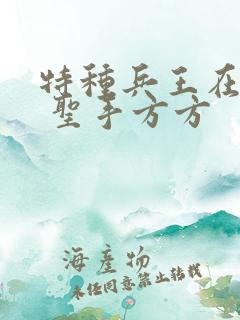 特种兵王在山村 圣手方方