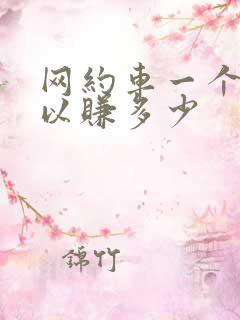 网约车一个月可以赚多少