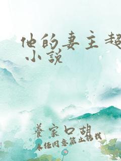 他的妻主超宠哒 小说