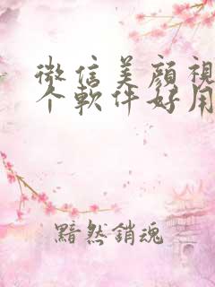 微信美颜视频哪个软件好用