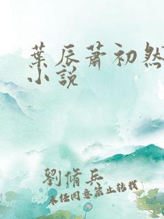 叶辰萧初然有声小说