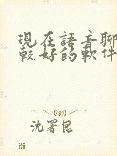 现在语音聊天比较好的软件