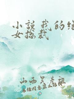 小说 我的绝色女总裁