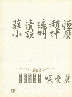 薛清璃赵恒原著小说叫什么