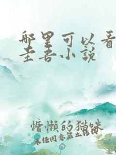 哪里可以看东野圭吾小说