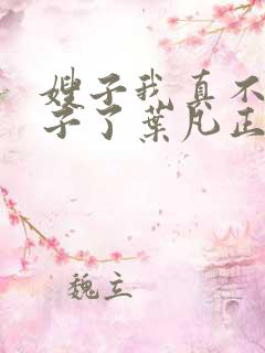 嫂子我真不是傻子了叶凡正版全文下载