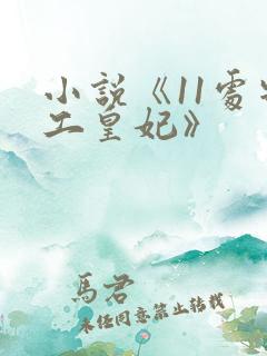 小说《11处特工皇妃》