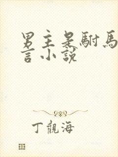 男主是驸马的古言小说