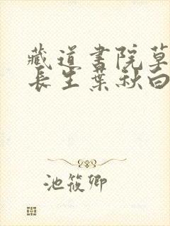 藏道书院草堂陆长生叶秋白是什么小说