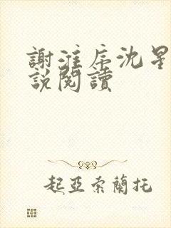 谢淮序沈星窈小说阅读
