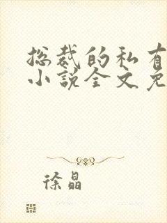 总裁的私有宝贝小说全文免费阅读