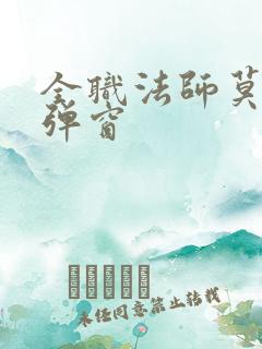 全职法师莫凡无弹窗