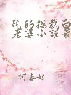 我的总裁白富美老婆小说最新章节列表免费