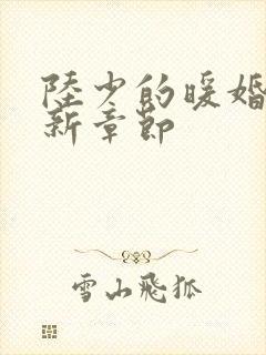 陆少的暖婚新妻新章节