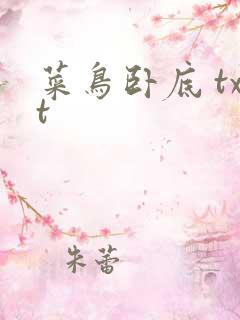 菜鸟卧底 txt