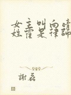 女主叫向晴男主姓霍是律师的小说