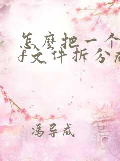 怎么把一个pdf文件拆分成两个pdf