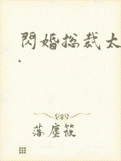 闪婚总裁太霸道.