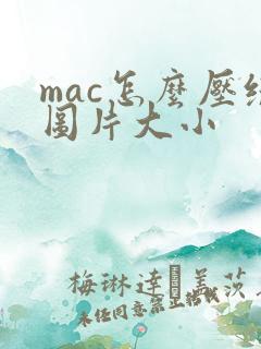 mac怎么压缩图片大小