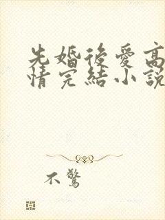 先婚后爱高干言情完结小说