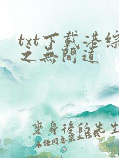 txt下载港综之无间道