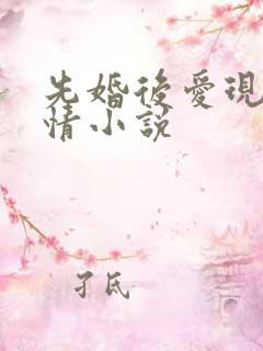 先婚后爱现代言情小说