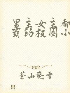 男主女主都是校霸的校园小说
