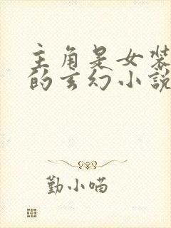 主角是女装大佬的玄幻小说