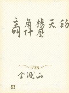 主角杨天的小说叫什么