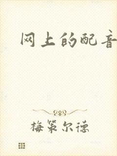 网上的配音