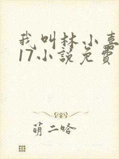 我叫林小喜今年17小说免费看