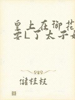 皇上在御花园里要L了太子妃