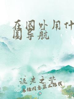 在国外用什么地图导航