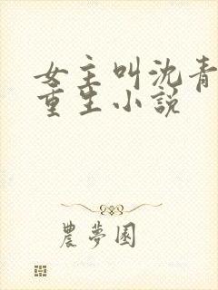 女主叫沈青鸾的重生小说