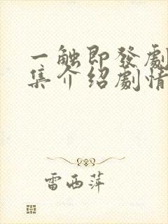 一触即发剧情分集介绍剧情吧