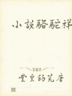 小说骆驼祥子
