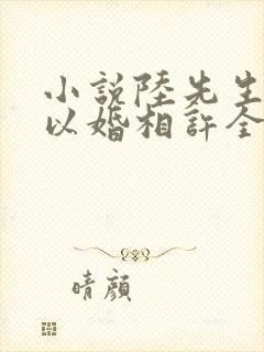 小说陆先生偏要以婚相许全文