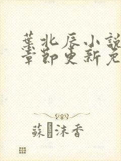 叶北辰小说最新章节更新免费阅读