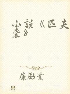 小说《匹夫的逆袭》