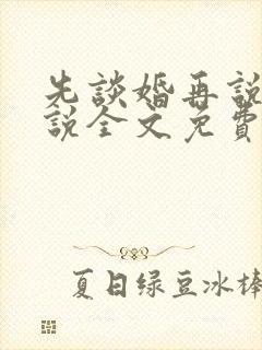 先谈婚再说爱小说全文免费阅读