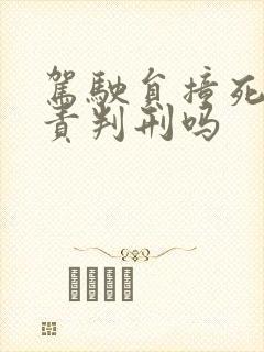 驾驶员撞死人全责判刑吗