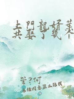 上门龙婿叶辰一共娶了几个