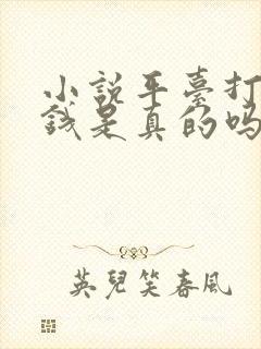 小说平台打字赚钱是真的吗