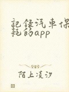 记录汽车保养油耗的app