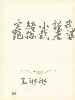 完结小说我的冷艳总裁老婆